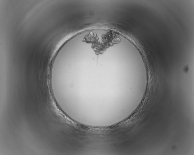 X0000114990950200912071114