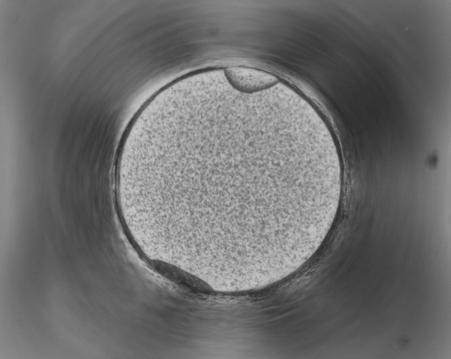 X0000114990951200912071114