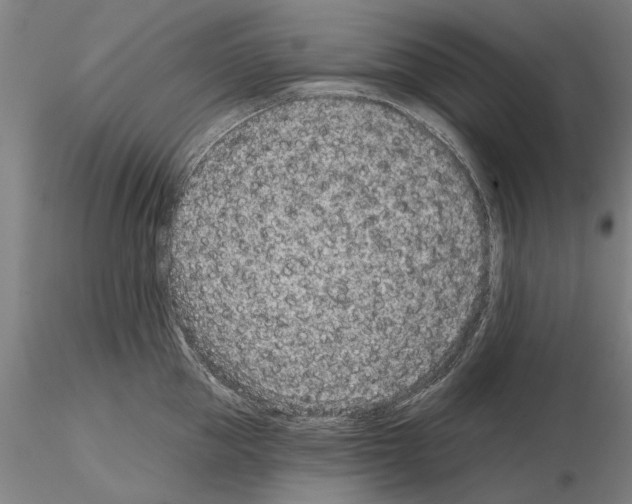 X0000114990953200912071114