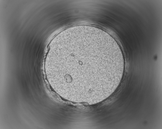 X0000114990954200912071114