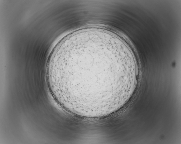 X0000114990955200912071114