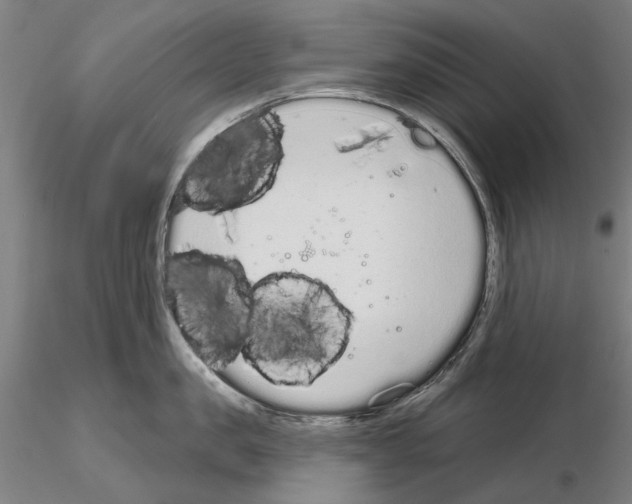 X0000114990957200912071114