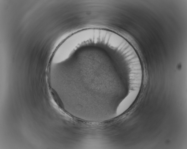 X0000114990958200912071114