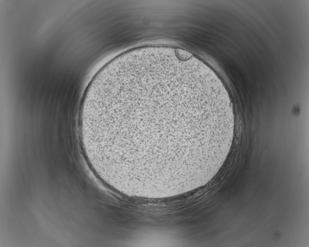 X0000114990959200912071114