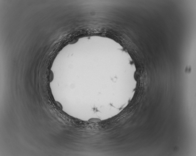 X0000114990961200912071113