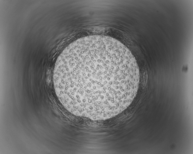 X0000114990962200912071113