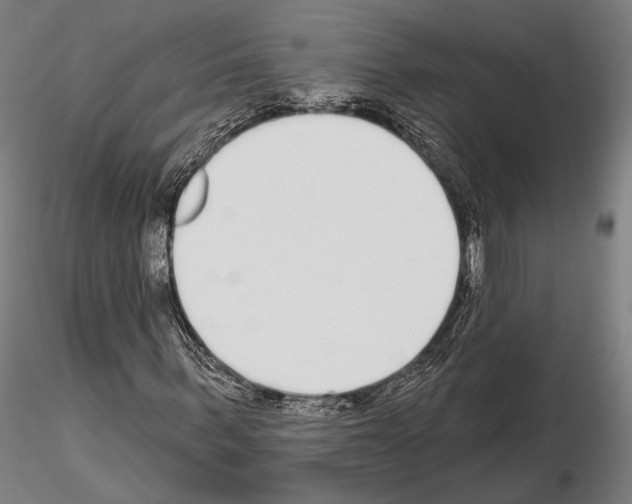 X0000114990963200912071113