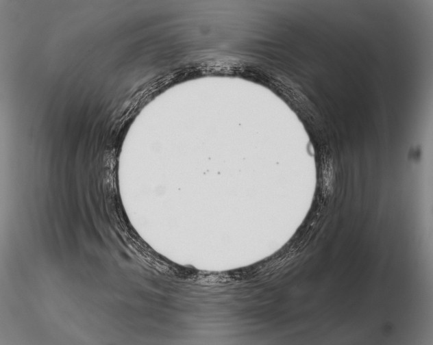 X0000114990964200912071113