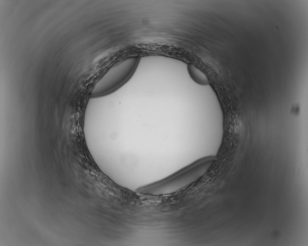 X0000114990965200912071113