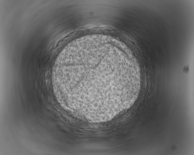 X0000114990966200912071113