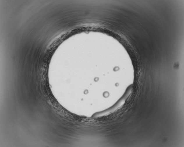 X0000114990967200912071113