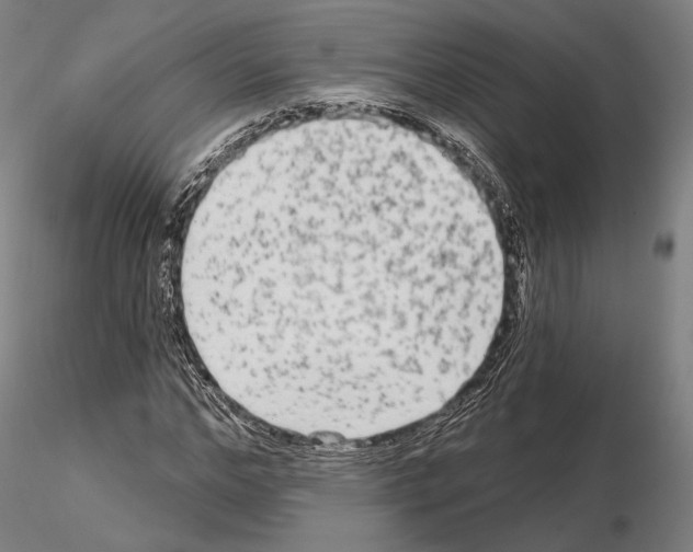 X0000114990968200912071113