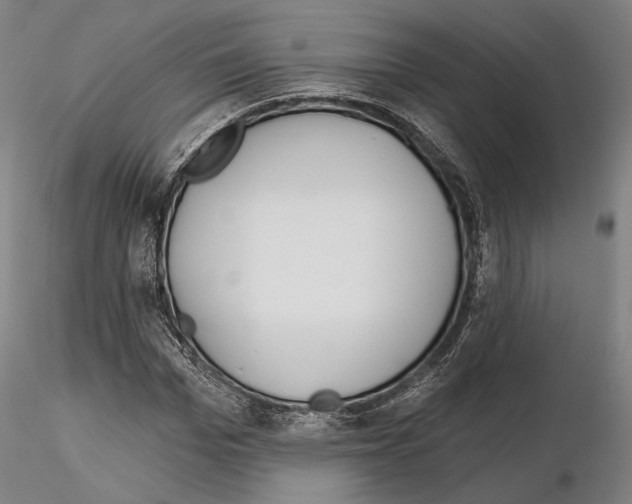 X0000114990969200912071113