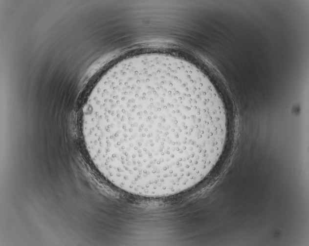 X0000114990970200912071113