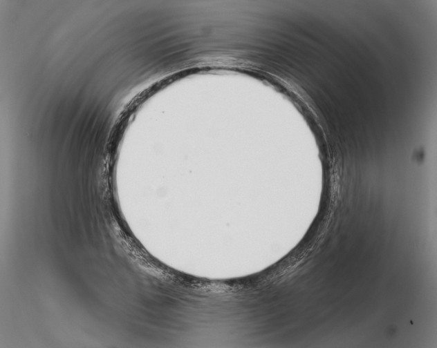 X0000114990971200912071113