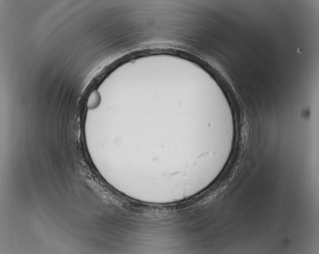 X0000114990973200912071113