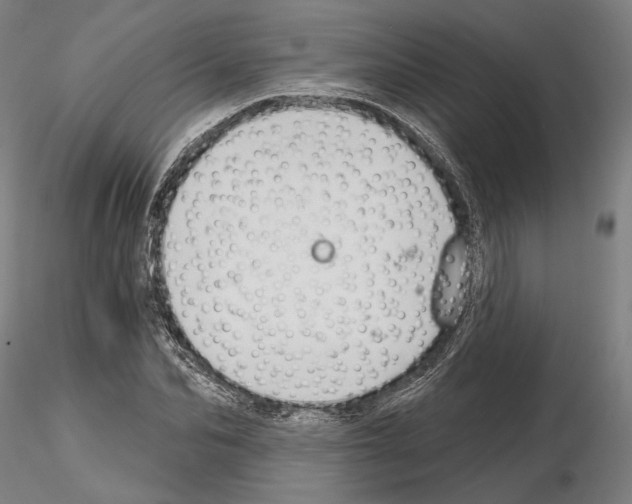 X0000114990974200912071113