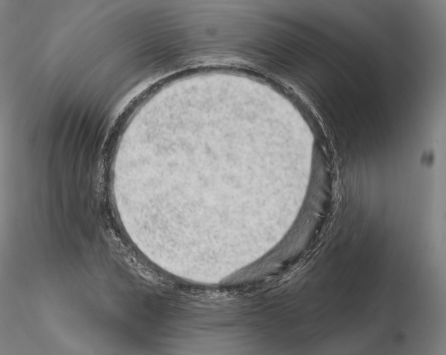 X0000114990975200912071113