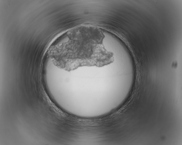 X0000114990976200912071113