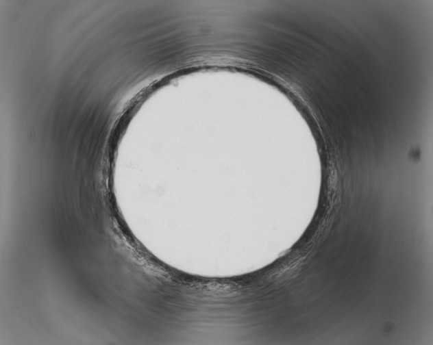 X0000114990979200912071113