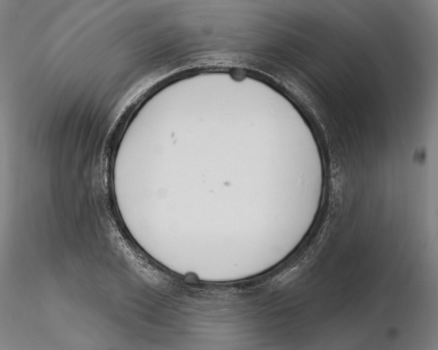 X0000114990981200912071113