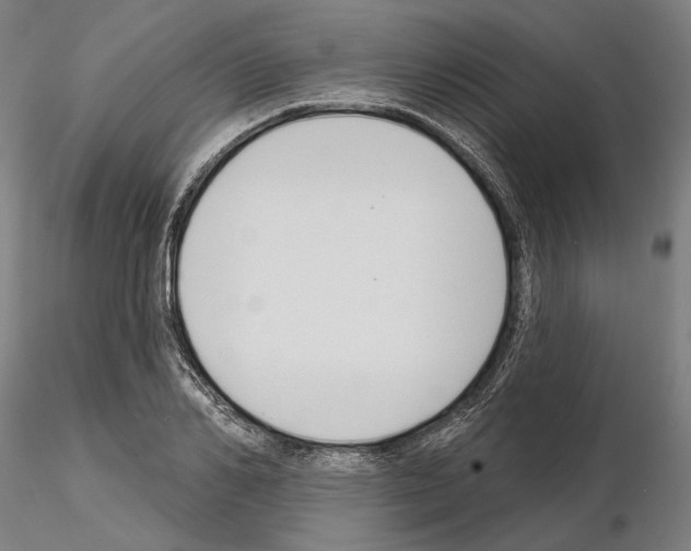 X0000114990982200912071113