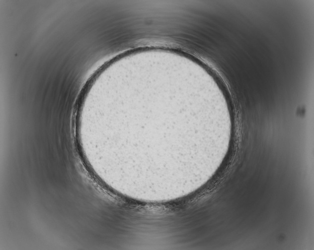 X0000114990983200912071113