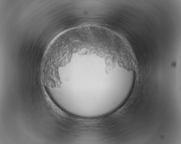 X0000114990984200912071113