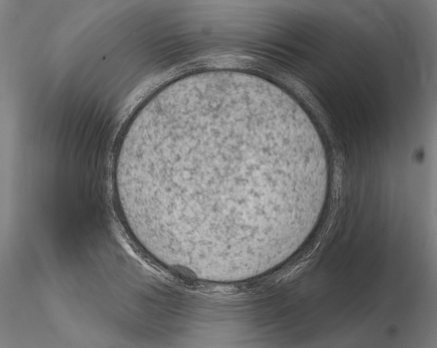 X0000114990986200912071113