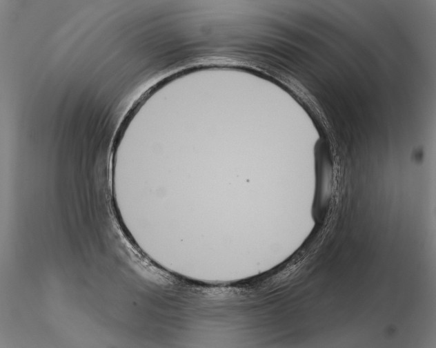 X0000114990988200912071113