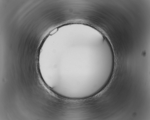 X0000114990989200912071113