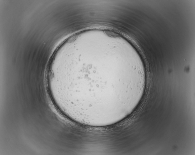 X0000114990991200912071113