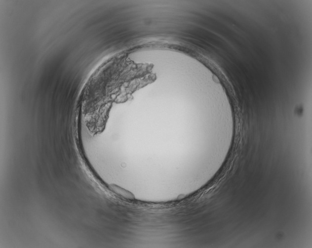 X0000114990992200912071113