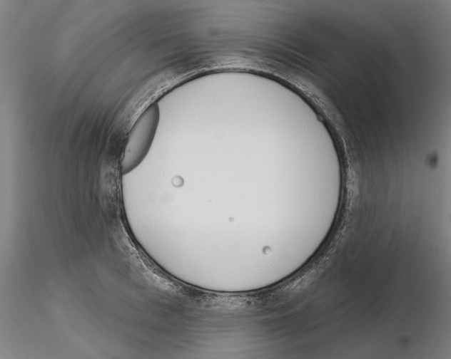 X0000114990993200912071113