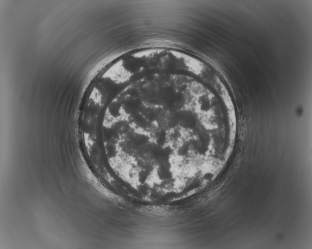 X0000114990995200912071113