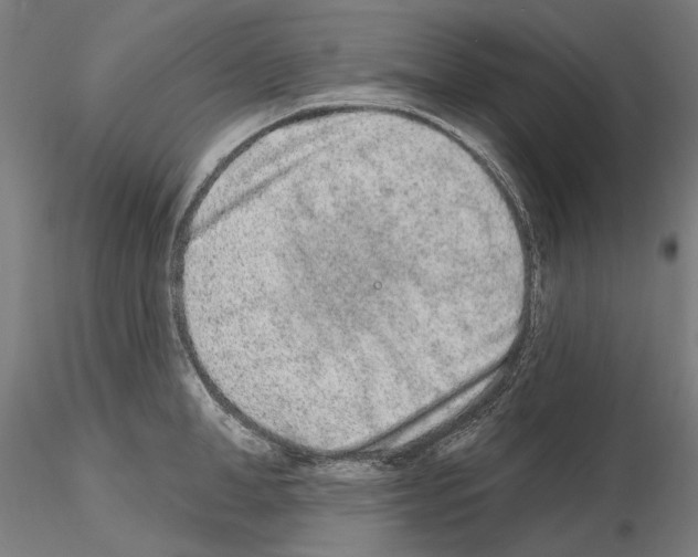 X0000114990998200912071113