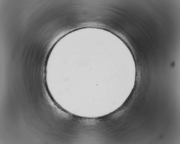 X0000114990999200912071113