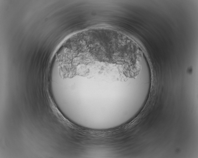 X0000114991000200912071113