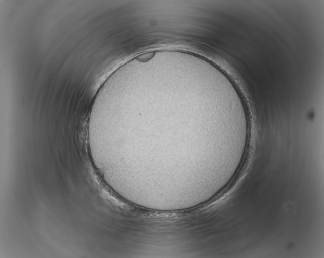 X0000114991001200912071113