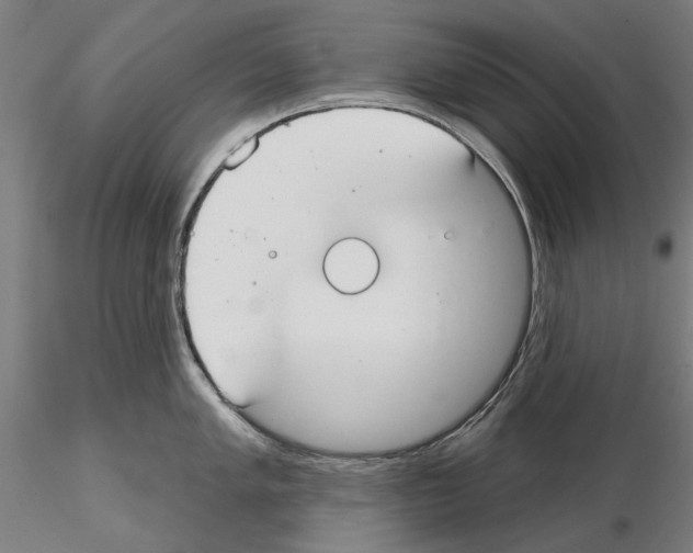 X0000114991005200912071113