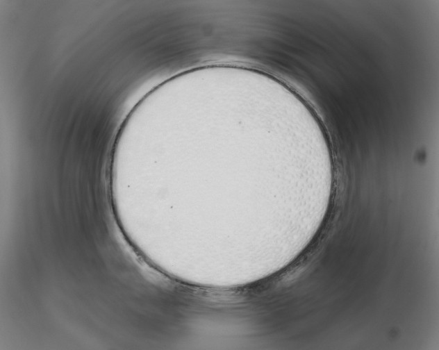 X0000114991007200912071113