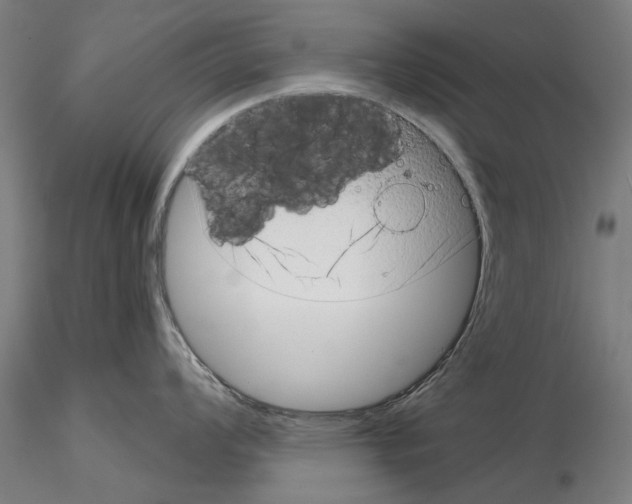 X0000114991008200912071113