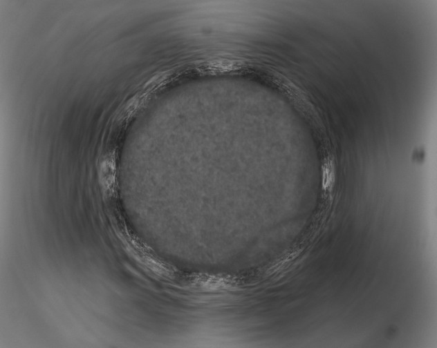 X0000114991011200912071112