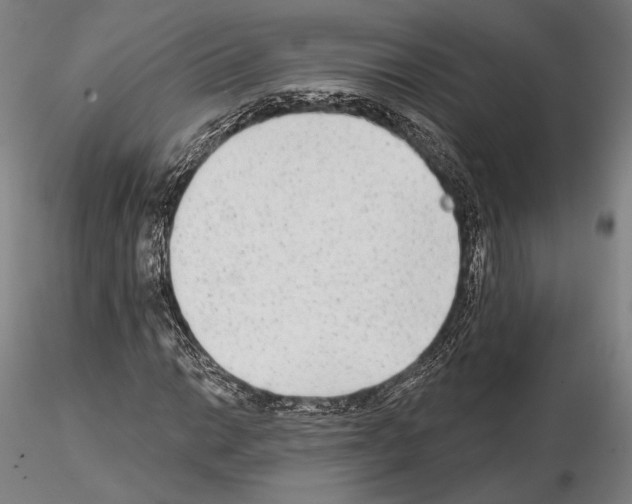 X0000114991014200912071112