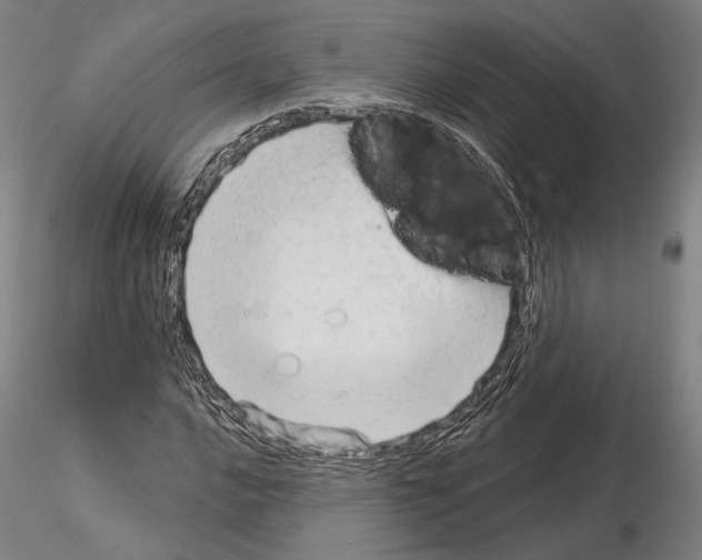 X0000114991016200912071112