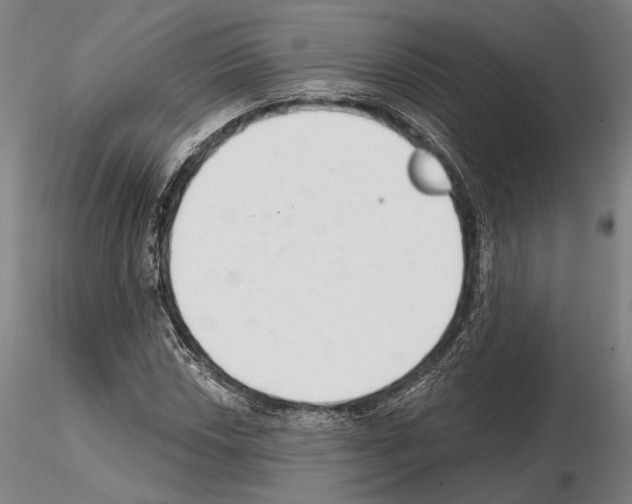 X0000114991018200912071112