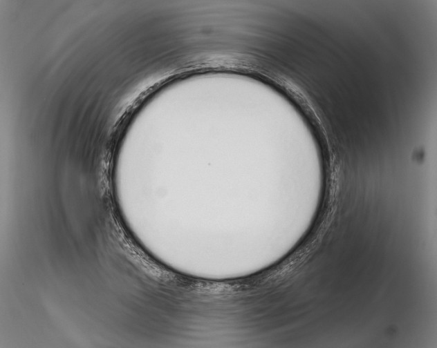 X0000114991019200912071112