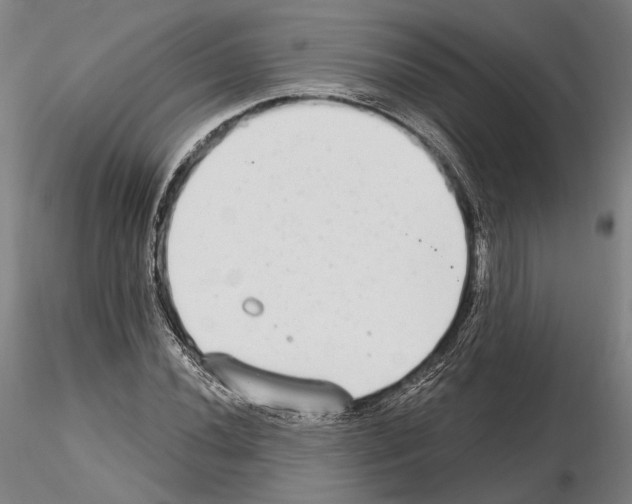 X0000114991020200912071112