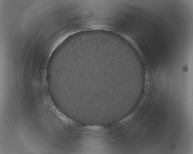 X0000114991023200912071112