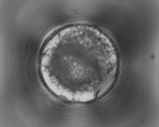 X0000114991024200912071112